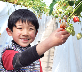 イチゴ狩りのイメージ